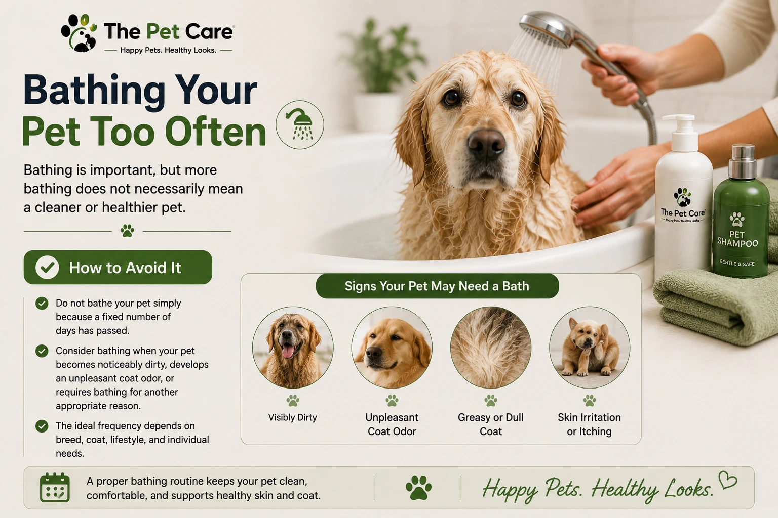 Dog being gently brushed before bathing to remove loose hair and tangles.